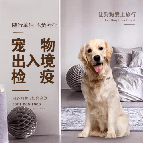鸡西市宠物托运到哥伦比亚猫狗宠物入境规定和
