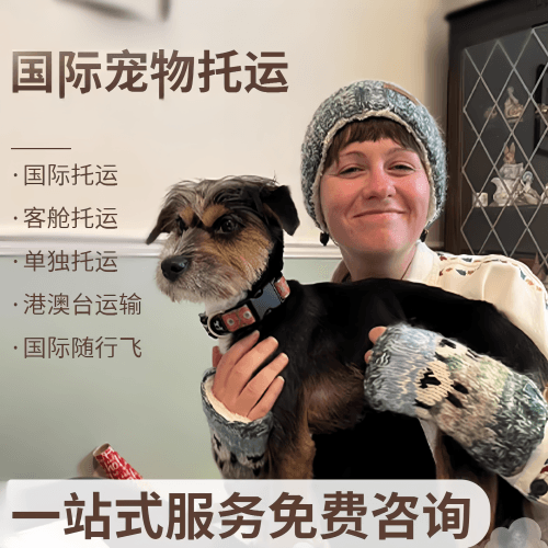 鸡西市国际宠物托运到阿根廷宠物入境规定和要