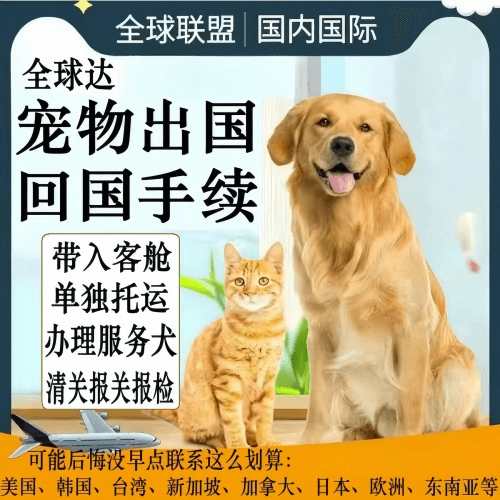 鸡西市宠物托运到柬埔寨宠物入境规定和要求