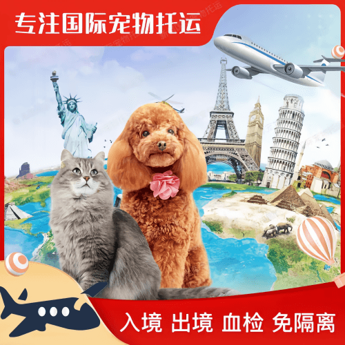 鸡西市宠物托运到美国宠物入境最新规定和要求