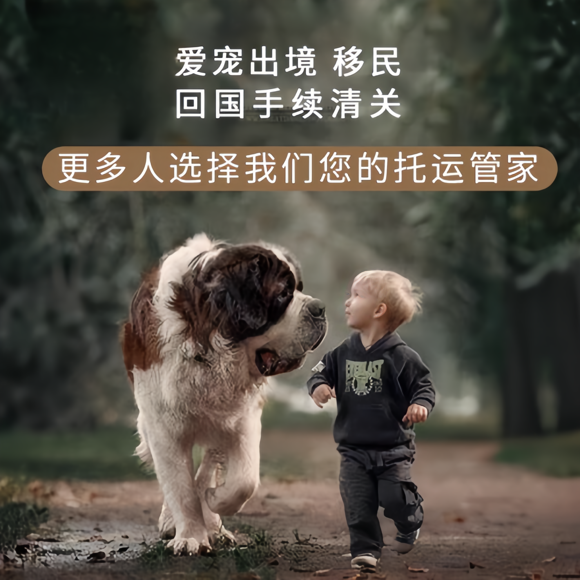 满财鸡西市宠物全球达宠物托运在遵守入境目的地政策的条件