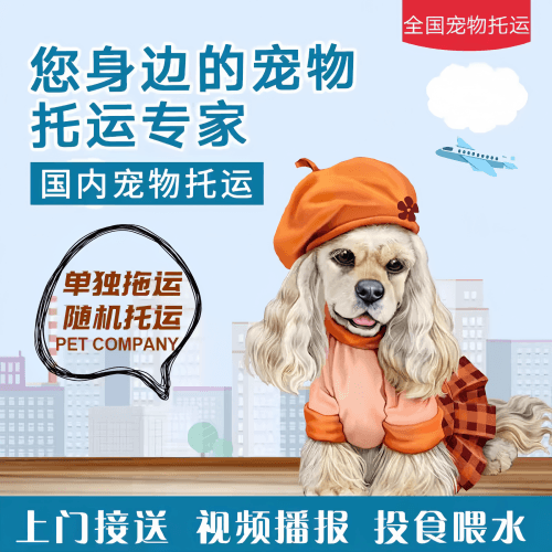 满财鸡西市宠物全球达宠物托运作为专业的宠物运输代理机构